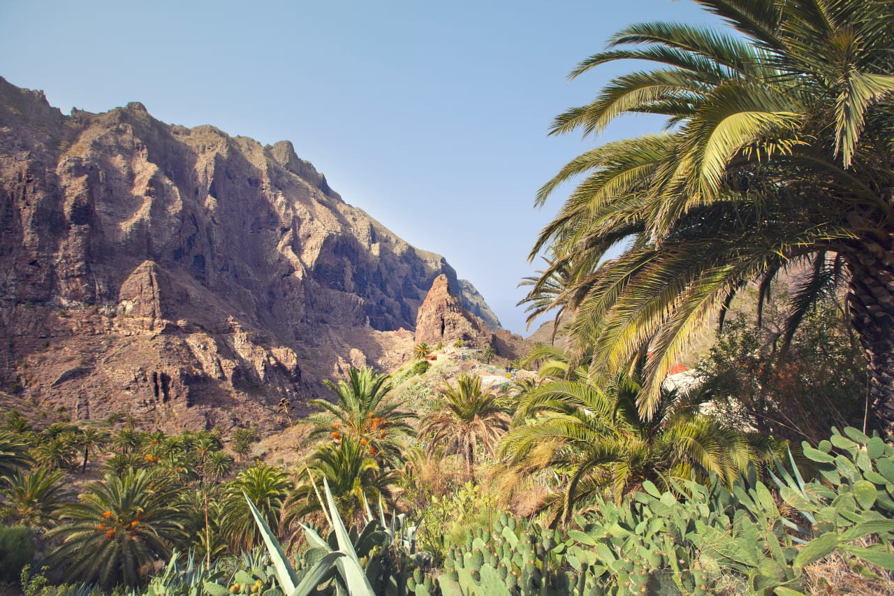 Barranco de Masca