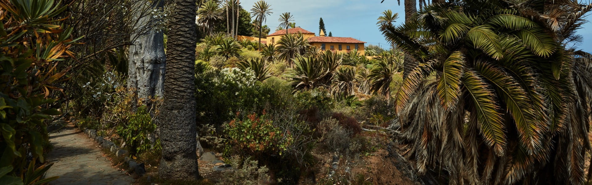 Rambla Castro Tenerife