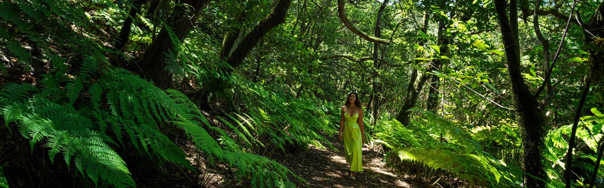 Espacios Naturales Tenerife