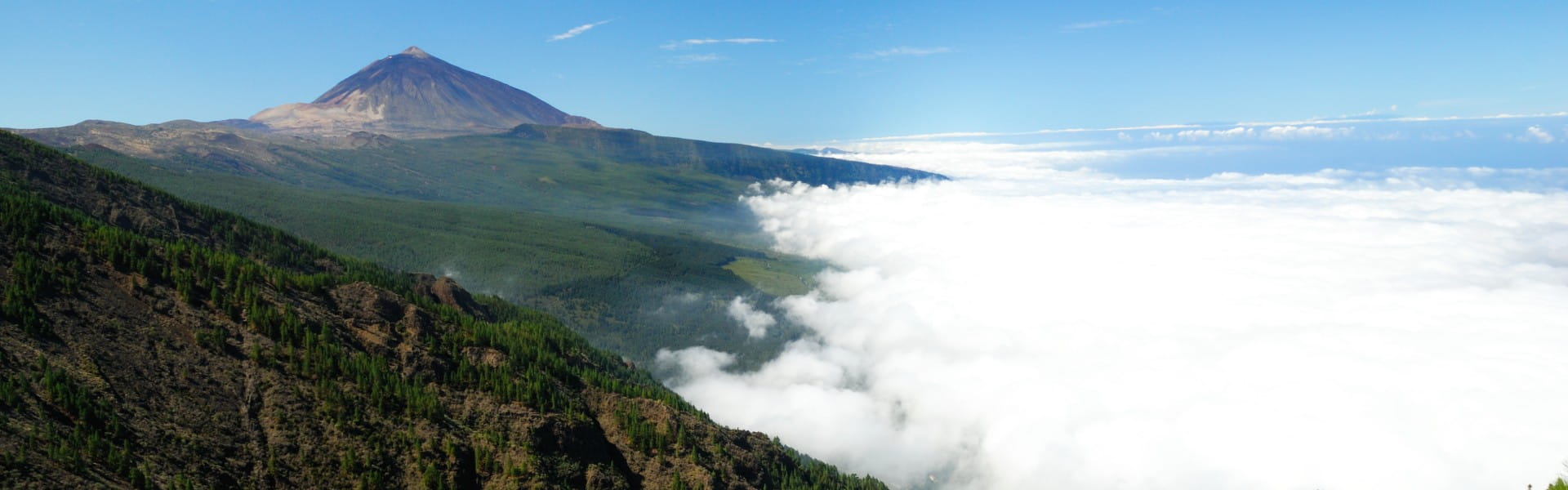 Teide Corona Forestal
