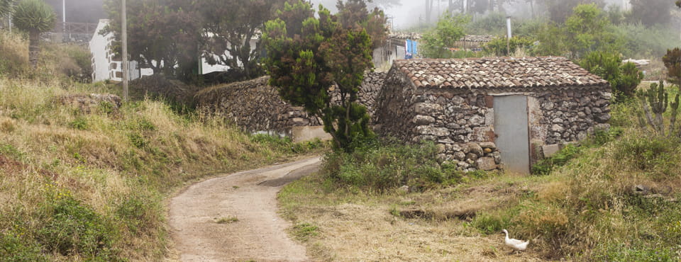 Caserío de Teno Alto
