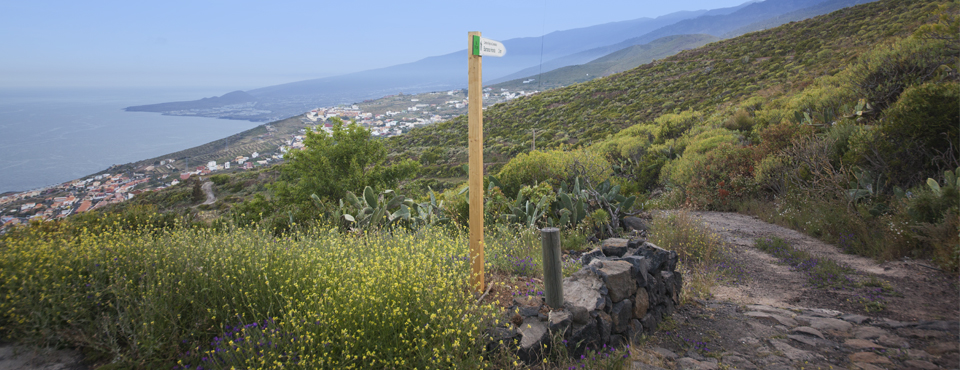 Camino Histórico de Candelaria