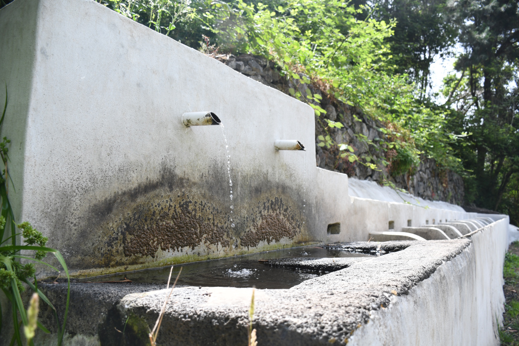 Fuente de agua en el campo en La Laguna, Tenerife, rodeada de vegetación.