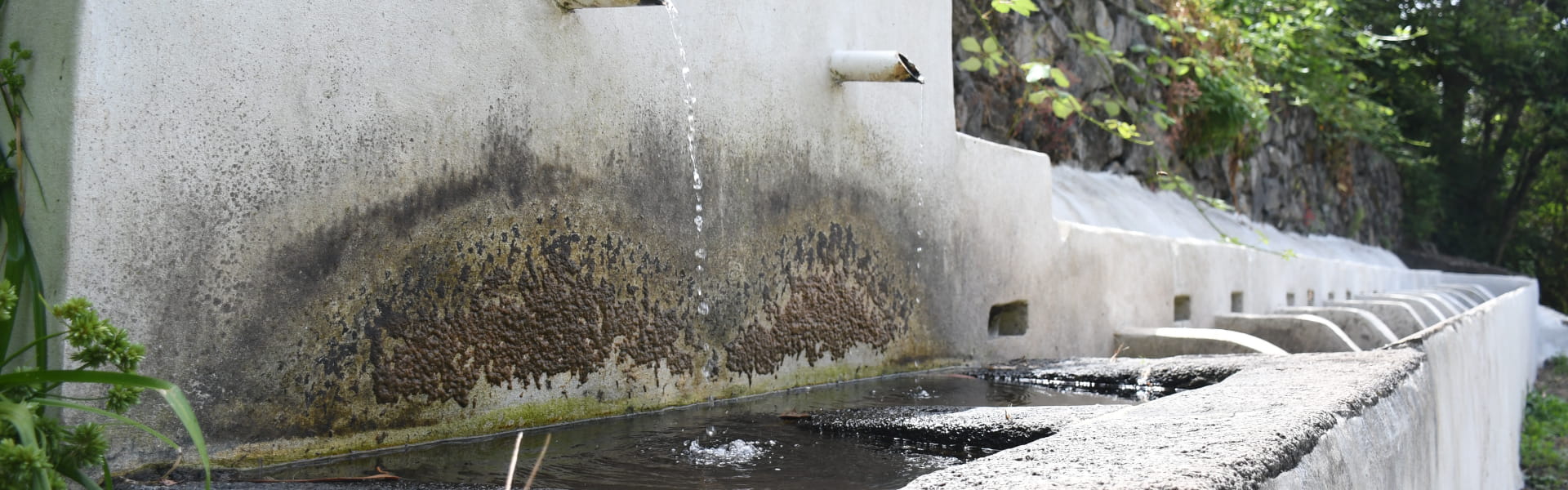 Los Lavaderos de los Sauces