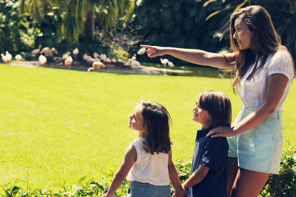 Mujer y niños observan flamencos en Tenerife.