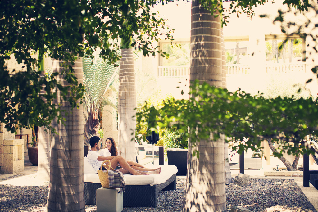 Personas relajándose en un jardín con palmeras en Tenerife.