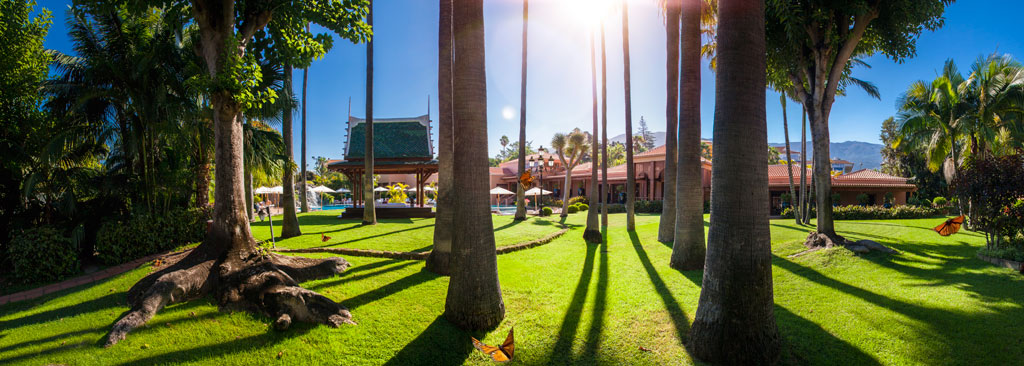 Jardín con palmeras y edificio en un parque de Tenerife bajo el sol.