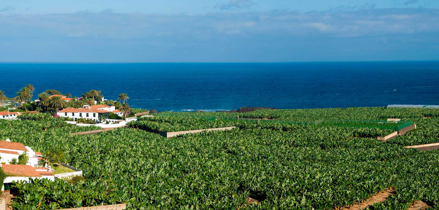 Directorio profesional