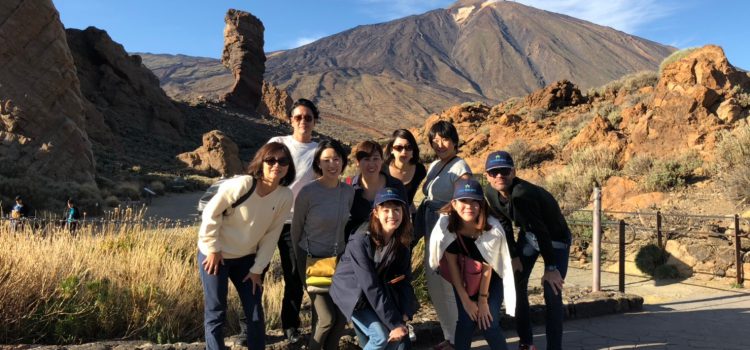 Tenerife recibe a los principales agentes turísticos de Japón