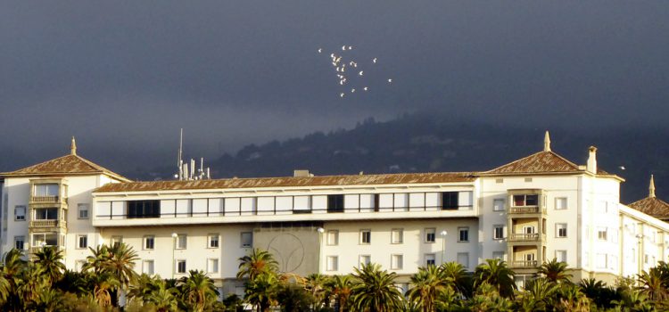 El Cabildo adjudica la explotación del histórico Hotel Taoro de Puerto de la Cruz