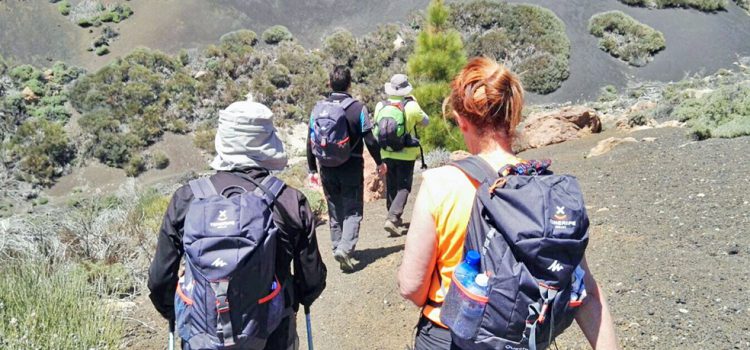 La Isla promociona el Tenerife Walking Festival entre turoperadores, agentes y periodistas