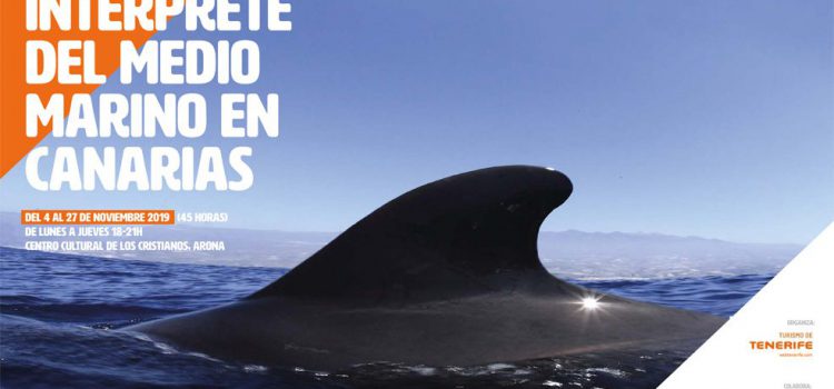 Comienza el ciclo formativo de intérprete marino para el avistamiento de cetáceos