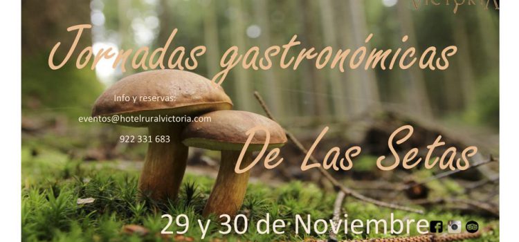 El Hotel Rural Victoria celebrará unas jornadas gastronómicas dedicadas a la seta