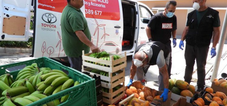 Loro Parque dona frutas de sus fincas ecológicas al banco de alimentos de la Fundación Canaria José Luis Montesinos