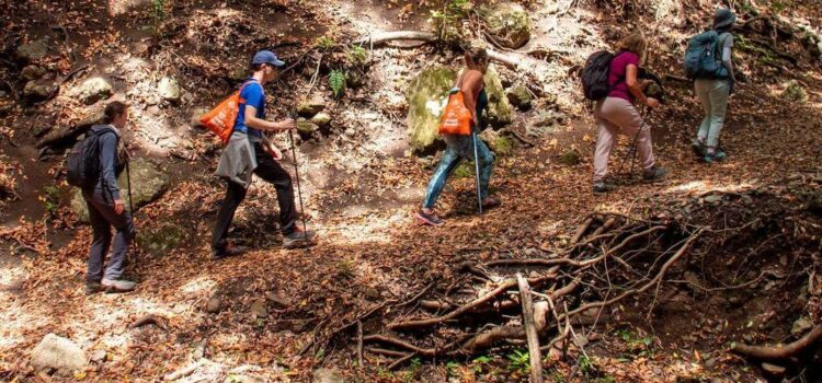 El Anaga Biofest se consolida como alternativa de turismo sostenible y regenerativo con actividades programadas durante buena parte del año