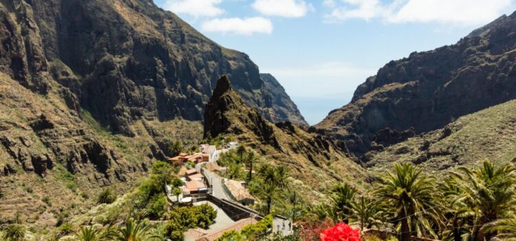 Turismo de Tenerife busca iniciativas innovadoras y eficientes que impulsen la sostenibilidad en el sector turístico
