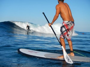 Stand up Paddle - Tenerife