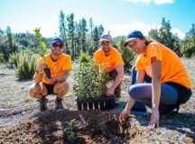 ¿Qué es la huella de carbono o huella cero?