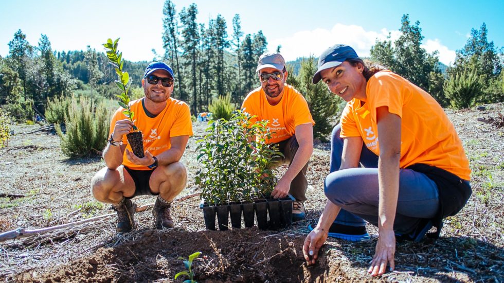 ¿Qué es la huella de carbono o huella cero?