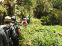 Tenerife Walking Festival: ejemplo de evento sostenible para Europa