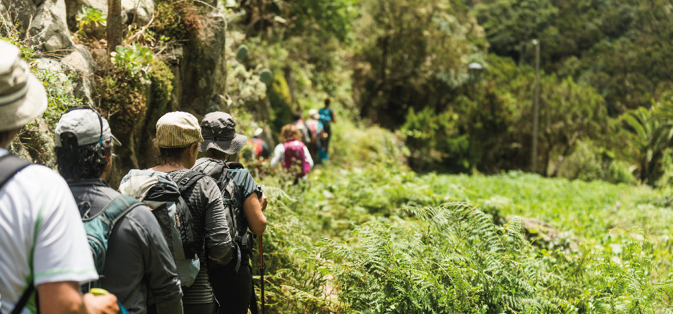 Tenerife Walking Festival: ejemplo de evento sostenible para Europa